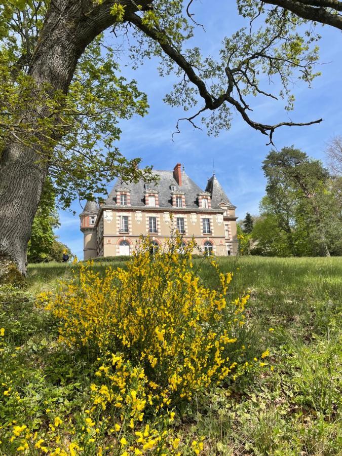 Nogent-sur-Vernisson Chateau De Praslins מראה חיצוני תמונה