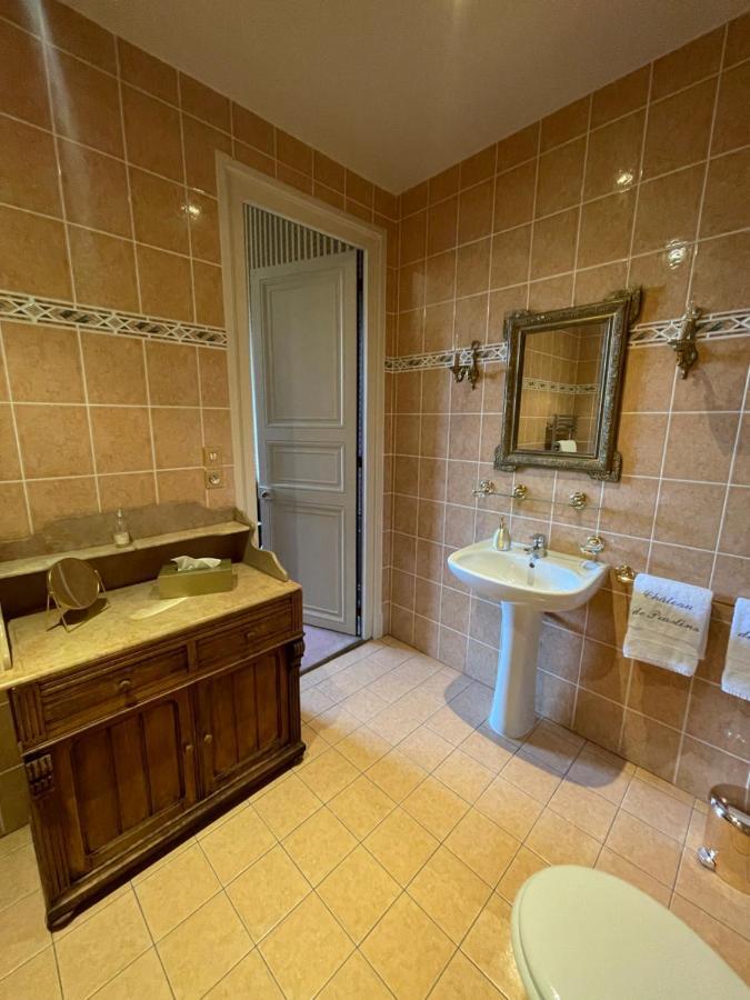 Nogent-sur-Vernisson Chateau De Praslins מראה חיצוני תמונה